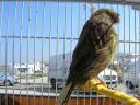 DSCN4349.JPG