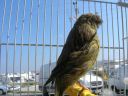 DSCN4352.JPG