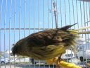 DSCN4354.JPG