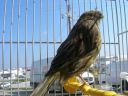 DSCN4355.JPG