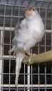 DSCN1285s.JPG