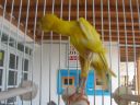 DSCN4277.JPG