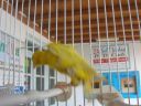 DSCN4288.JPG