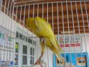 DSCN4289.JPG