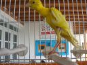 DSCN4290.JPG