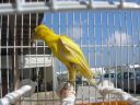 DSCN4309.JPG