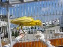 DSCN4319.JPG