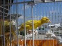 DSCN4322.JPG