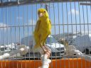 DSCN4338.JPG