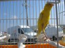 DSCN4339.JPG