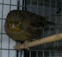 DSCN1504s.JPG