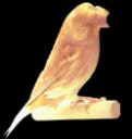 glostercorona.jpg