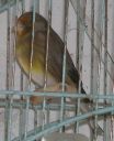DSCN1519s.JPG