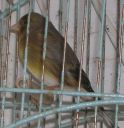 DSCN1522s.JPG