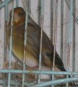 DSCN1523s.JPG