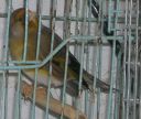 DSCN1536s.JPG