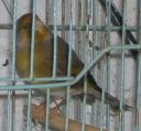 DSCN1537s.JPG