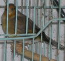 DSCN1538s.JPG