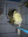 DSCN4239.JPG