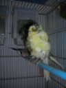 DSCN4241.JPG