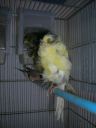 DSCN4243.JPG