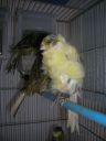 DSCN4248.JPG
