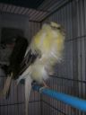 DSCN4254.JPG