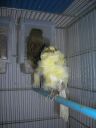 DSCN4256.JPG