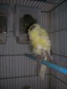 DSCN4257.JPG
