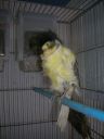 DSCN4258.JPG