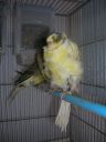 DSCN4261.JPG