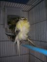 DSCN4267.JPG