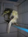 DSCN4268.JPG