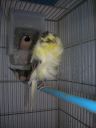 DSCN4270.JPG