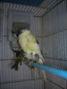 DSCN4272.JPG