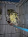 DSCN4274.JPG