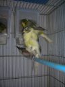 DSCN4275.JPG