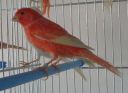 DSCN1216s.JPG