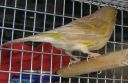 DSCN1477s.JPG