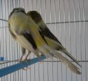 DSCN1170s.JPG