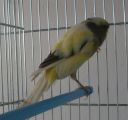 DSCN1199s.JPG