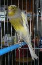 DSCN1648s.JPG